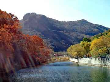 澳彩资料免费长期公开，庞家农场